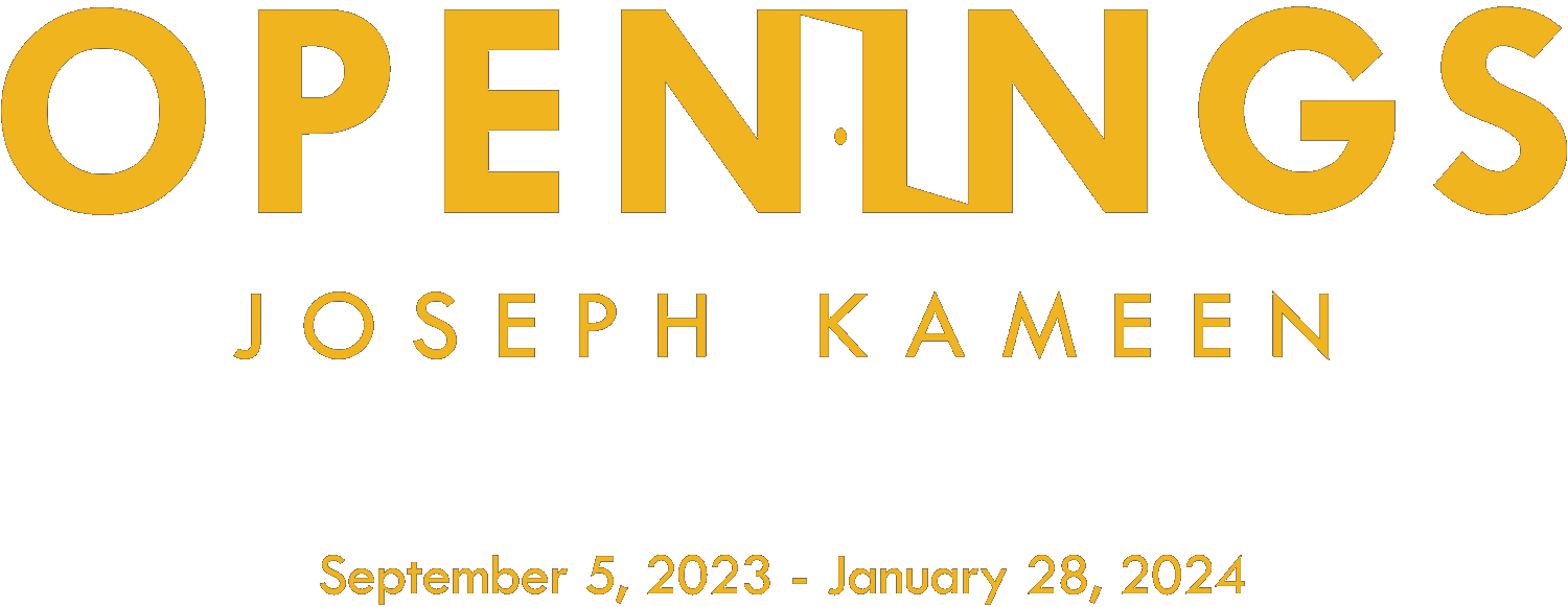 Openings: Joseph Kameen
