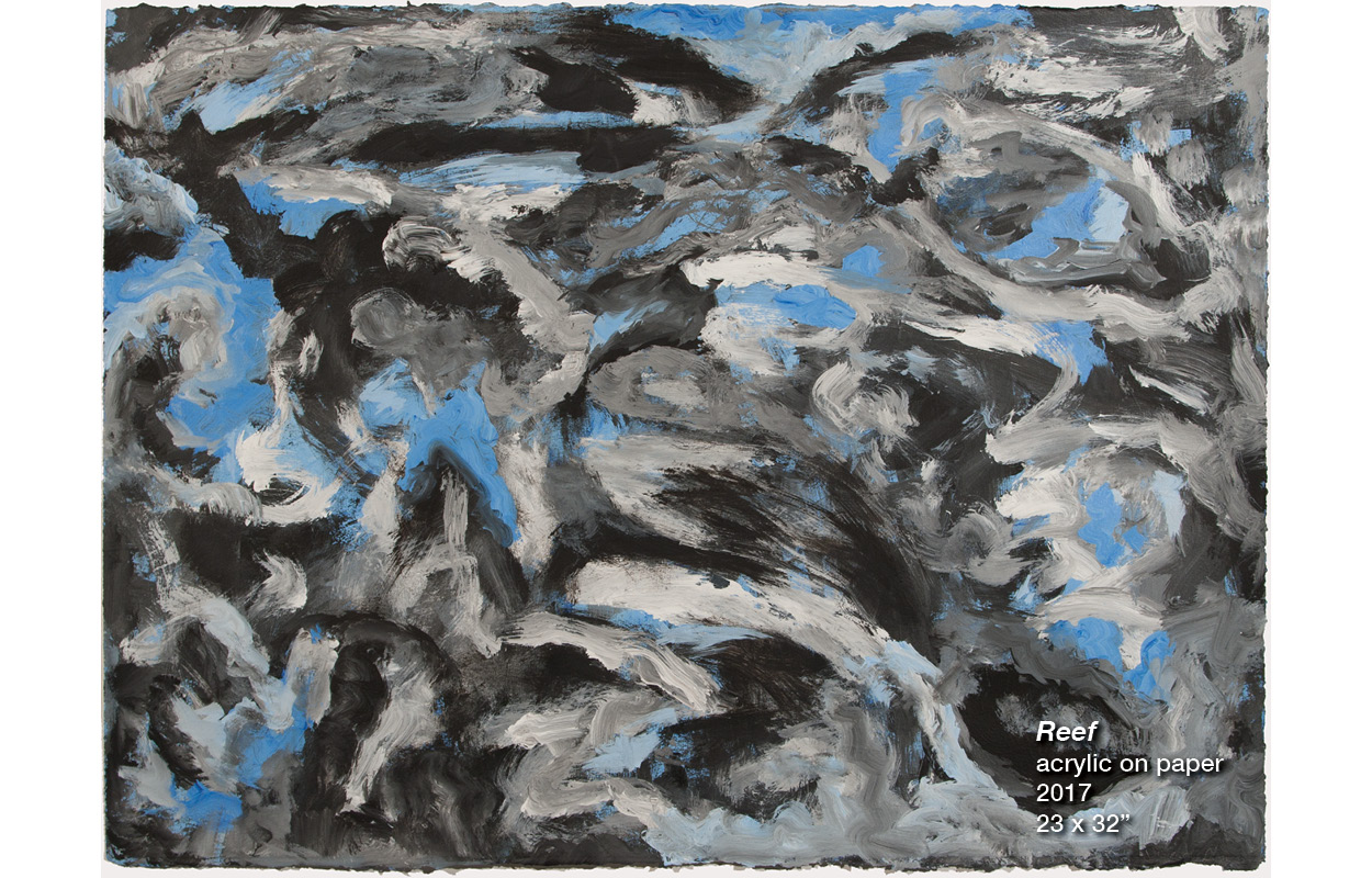 TJD Slideshow - Reef Terry Jarrard-Dimon - Reef